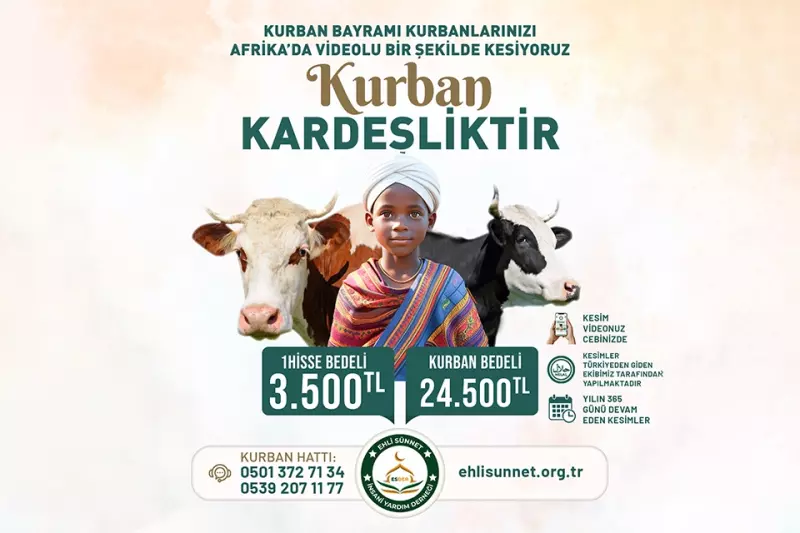 Afrika Büyükbaş Kurban