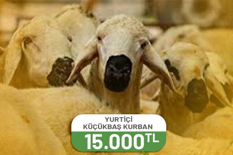 Yurtiçi Küçükbaş Kurban