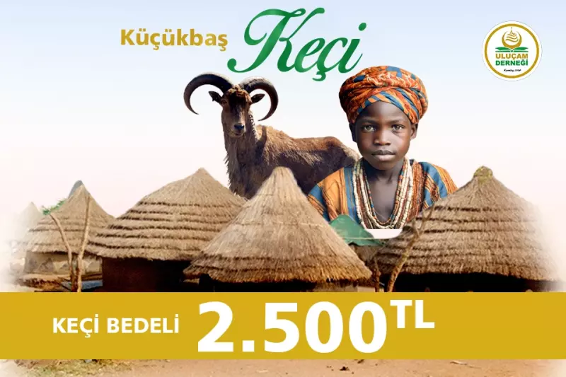 Afrika Küçükbaş Keçi