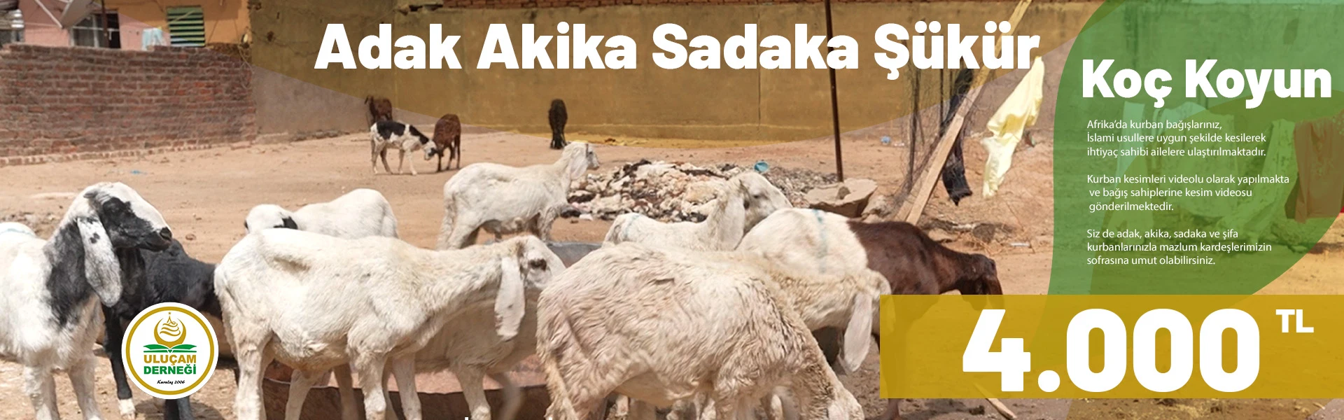 adak akika sadaka