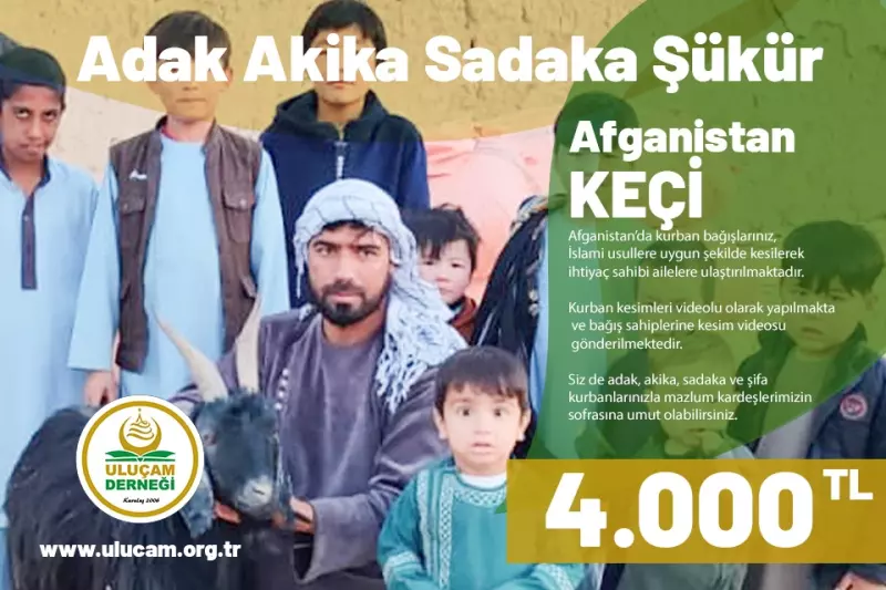 Afganistan Keçi