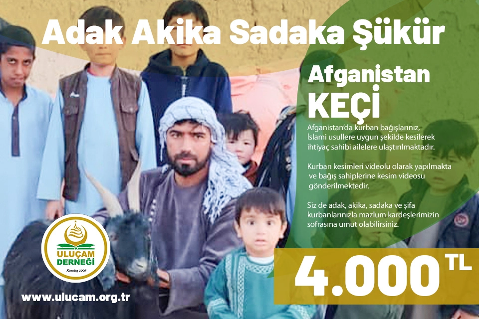 Afganistan Keçi